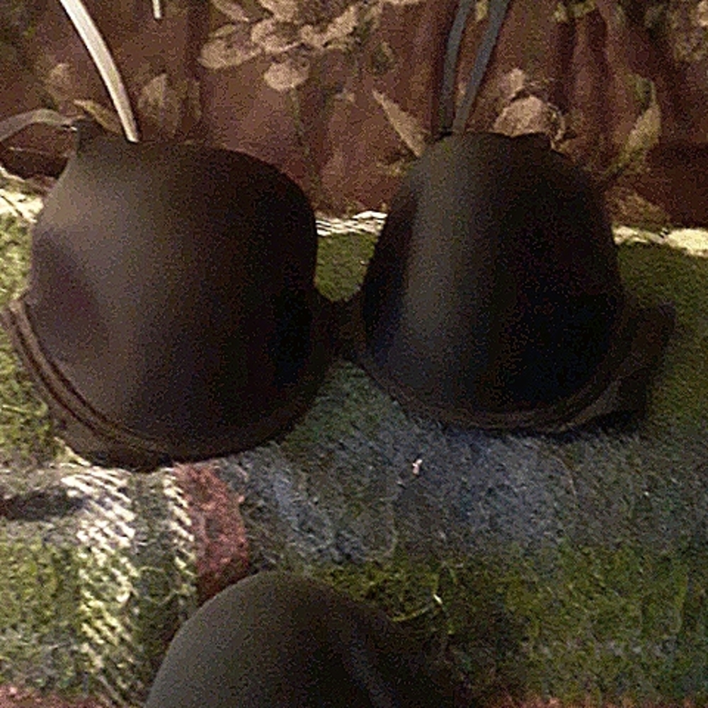 VS perfect coverage bra